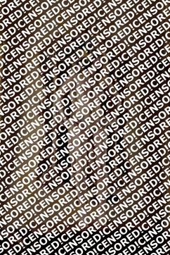 Mademoiselle Sofia - Escort lady Brescia 11