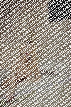 Mademoiselle Sofia - Escort lady Brescia 12