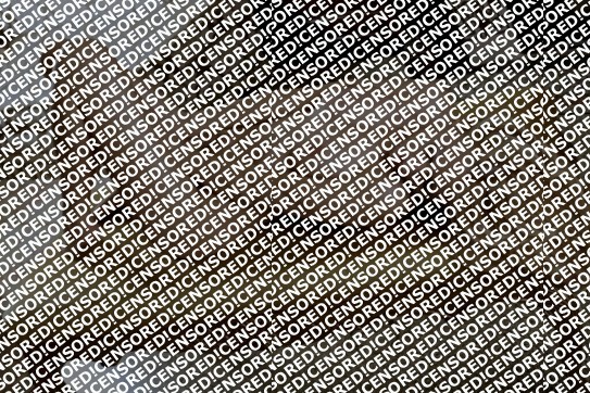 Mademoiselle Sofia - Escort lady Brescia 14