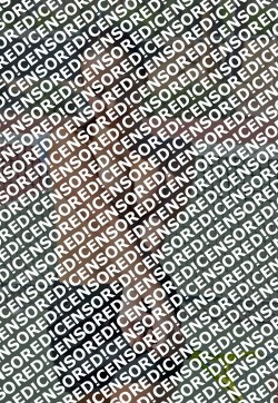 Alice - Escort lady Saint Petersburg 3