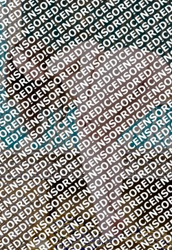 Lena - Escort lady Saint Petersburg 2