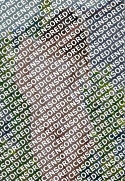 Snejanna - Escort lady Saint Petersburg 3