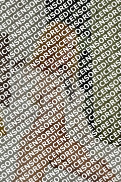 Leslyn trans - Escort trans Piacenza 11