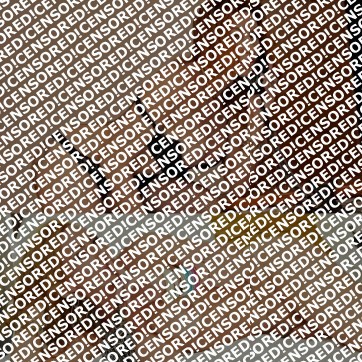 Leslyn trans - Escort trans Piacenza 12