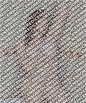 Leslyn trans - Escort trans Piacenza 3