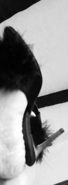 CAROLINA LA FRANCESINA - Escort trans Rome 8