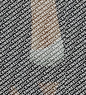 Gabrielle - Escort lady Montreal 13