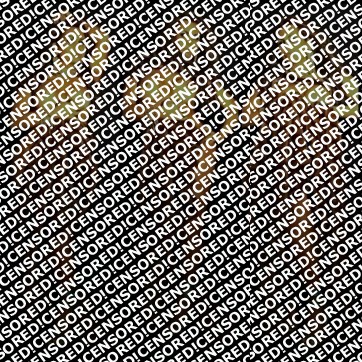 Melissa fox - Escort trans Piacenza 3