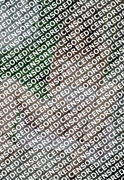 Sharlotta - Escort lady Saint Petersburg 2