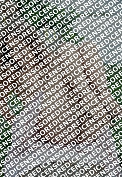 Sharlotta - Escort lady Saint Petersburg 3