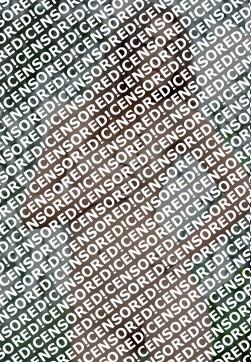 Sharlotta - Escort lady Saint Petersburg 4