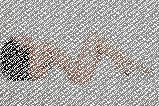 Selena - Escort lady Munich 2