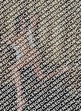 Rita - Escort lady Saint Petersburg 4