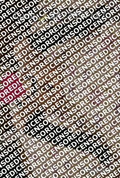 Luna - Escort lady Pisa 5