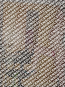 Chloe Knox - Escort lady San Jose CA 2