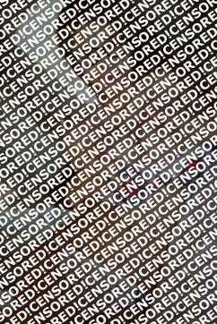 Carol Duncan - Escort lady Boston MA 2