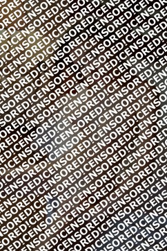 Carol Duncan - Escort lady Boston MA 3