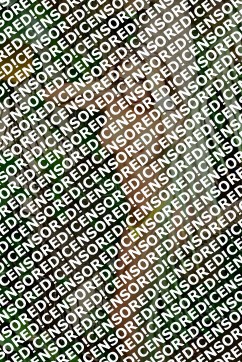 FERNANDA ZOCAL - Escort trans Bergamo 6