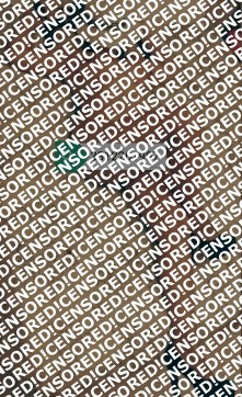 Alexandra - Escort lady Syracuse 3