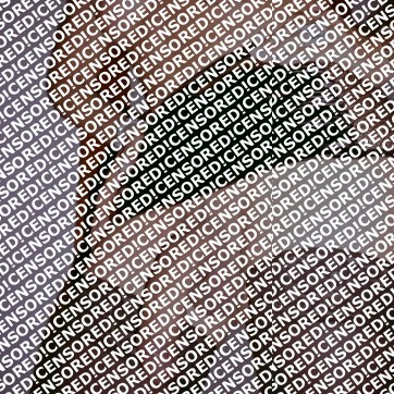 Sandra - Escort trans Florence 4