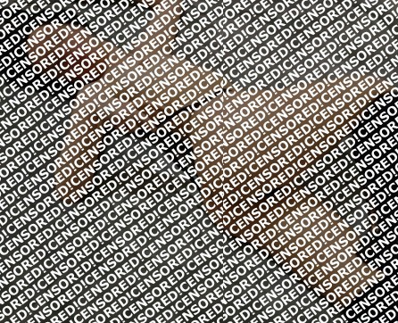 Lissa - Escort lady Sofia 3