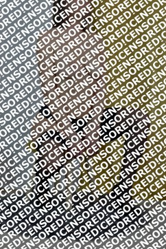 Silvie - Escort lady Lisbon 3