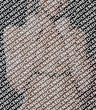 Denise - Escort lady Vienna 2