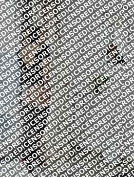 Vanessa - Escort lady Trier 11