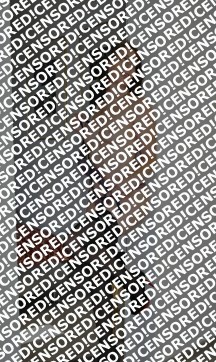 Vanessa - Escort lady Trier 14