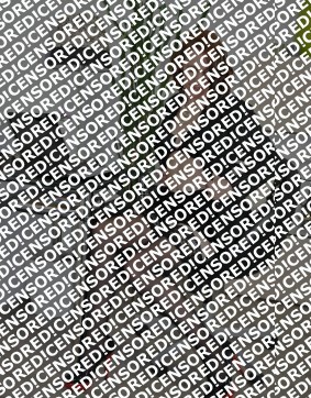 Vanessa - Escort lady Trier 15