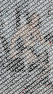 Vanessa - Escort lady Trier 17