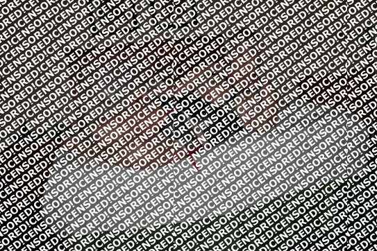 Ginger - Escort lady Sacramento CA 2