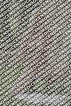 Lisa - Escort lady Saint Petersburg 3