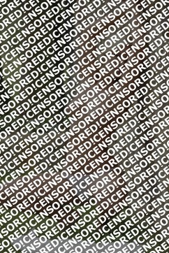 Lisa - Escort lady Saint Petersburg 4