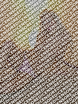 Alesya - Escort lady Saint Petersburg 3