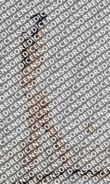 Di Anne - Escort lady Amsterdam 3