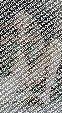 Yana - Escort lady Saint Petersburg 2