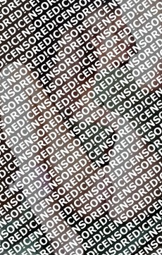 Yana - Escort lady Saint Petersburg 5