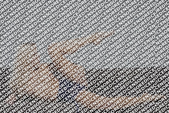 Elena - Escort lady Saint Petersburg 3