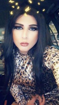 TsDadoArab - Escort trans Amsterdam 4