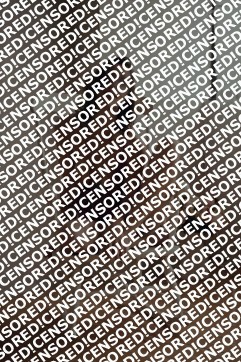 Sue - Escort lady Berlin 4