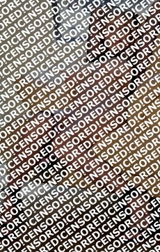 Valentina - Escort lady Saint Petersburg 2