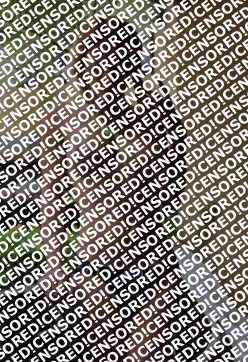 Venera - Escort trans Saint Petersburg 2