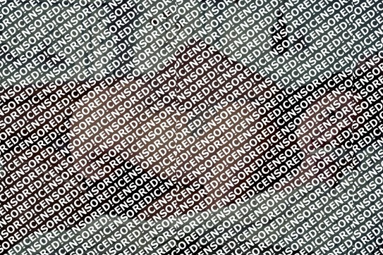 Anna - Escort lady Moscow 10