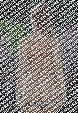 KLAVISA - Escort lady Ankara 2