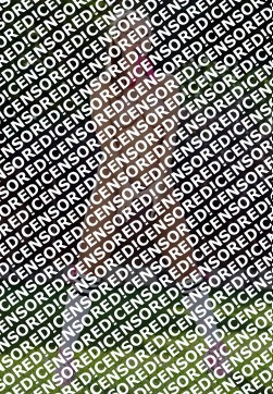 KLAVISA - Escort lady Ankara 4