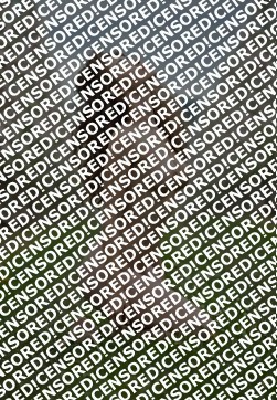 OLCKA - Escort lady Ankara 2