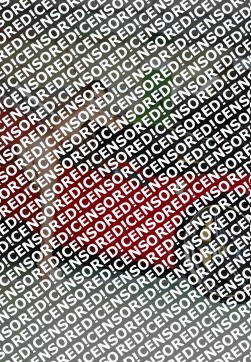 FRIANNA - Escort lady Ankara 3