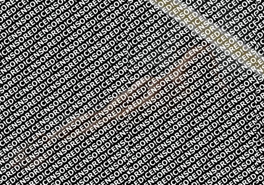 Gina - Escort lady Munich 3