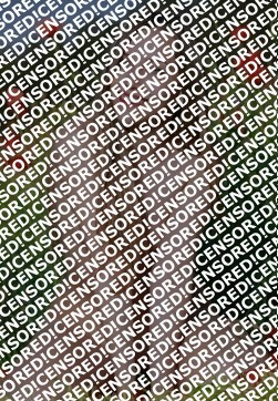 AVA - Escort lady Ankara 2